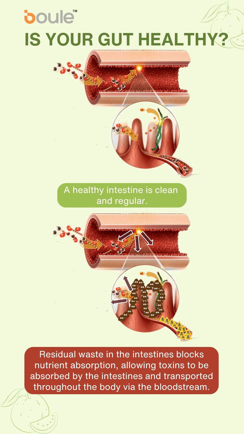 CNY Promo - 3 ProGutVive Bundle