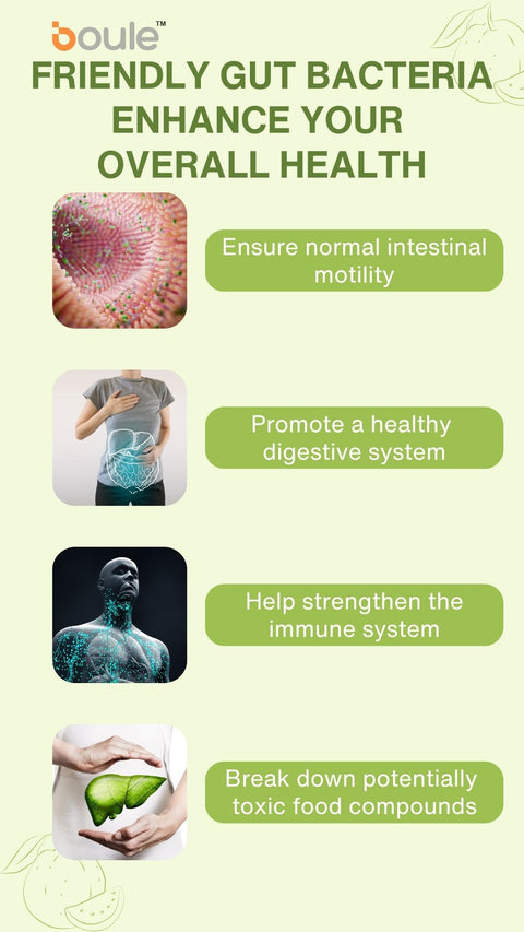 ProGutVive Probiotic Fiber Drink (12g x 15 sachets)