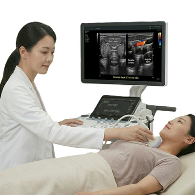 颈部/甲状腺超声